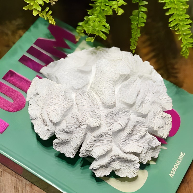 Escultura Coral em Poliresina Branco 21cm