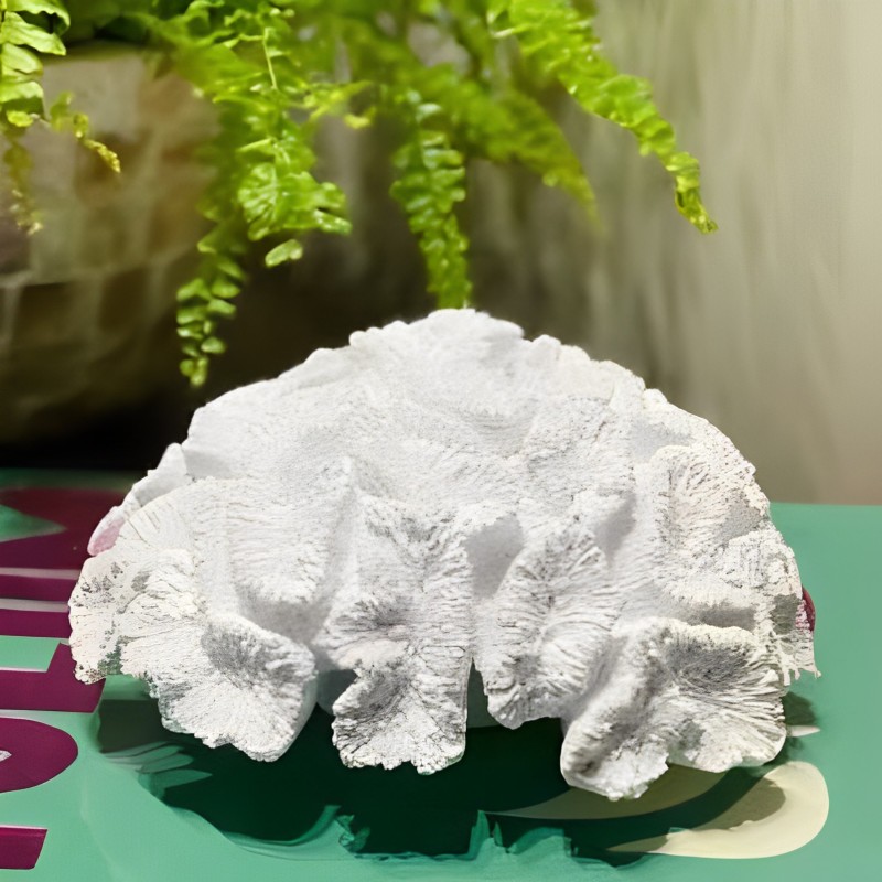 Escultura Coral em Poliresina Branco 21cm