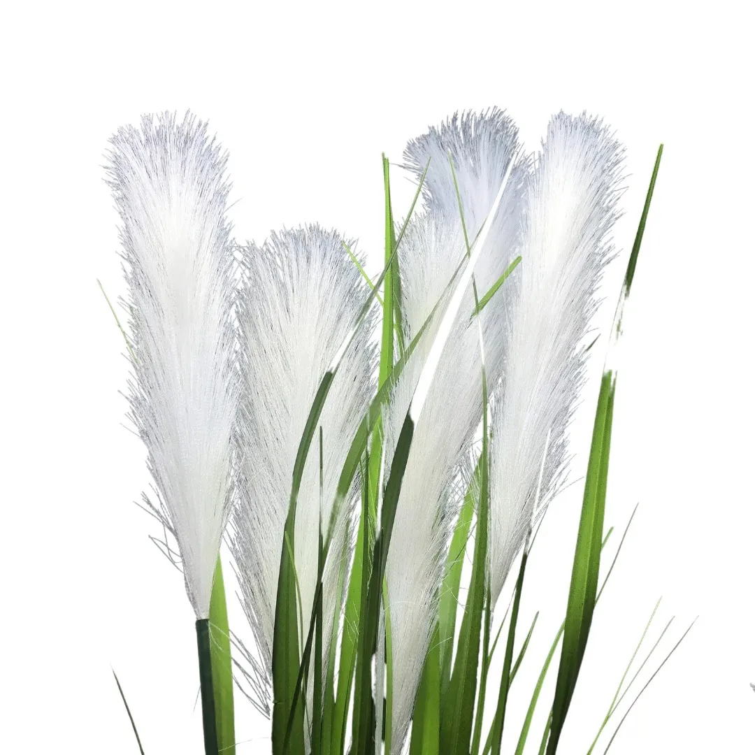 Capim dos Pampas com Plumas 92cm Capim dos Pampas com Plumas 92cm