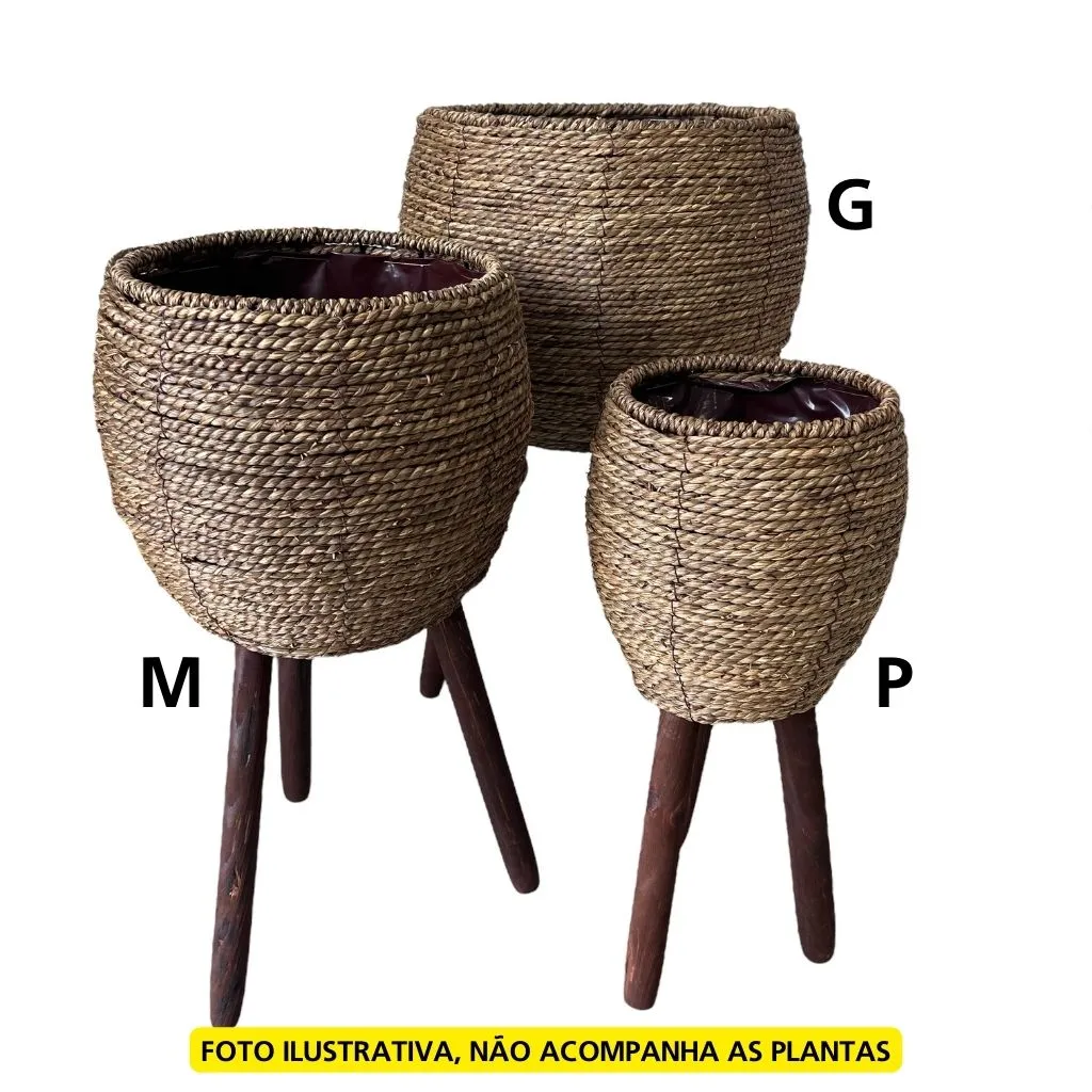 Cachepot M em Fibra Natural com Pés em Madeira Cachepot M em Fibra Natural com Pés em Madeira